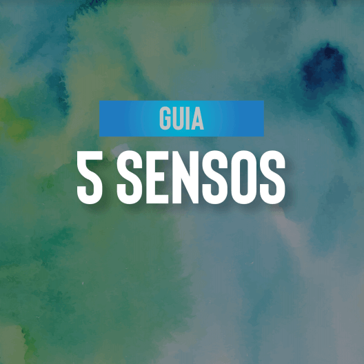 Guia - 5S